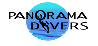 Panorama Divers Pro